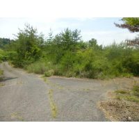 1267009685_640x640_#ffffff