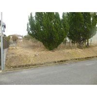 1416303638_640x640_#ffffff