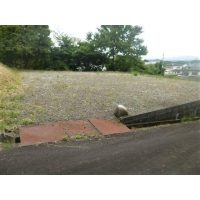 1588703152_640x640_#ffffff